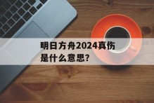 明日方舟2024真伤是什么意思？