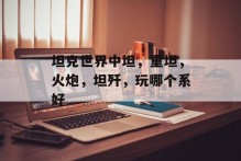 坦克世界中坦，重坦，火炮，坦歼，玩哪个系好