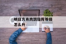 明日方舟肉鸽指挥等级怎么升