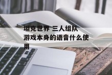 坦克世界 三人组队 游戏本身的语音什么使用