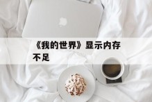 《我的世界》显示内存不足