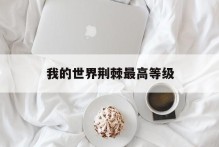 我的世界荆棘最高等级