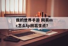 我的世界手游 网易mc怎么tp回出生点？