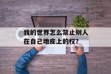 我的世界怎么禁止别人在自己地皮上的权？