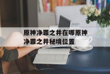 原神净罪之井在哪原神净罪之井秘境位置