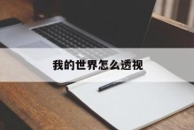 我的世界怎么透视
