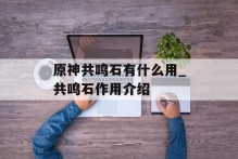原神共鸣石有什么用_共鸣石作用介绍