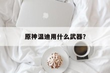 原神温迪用什么武器？