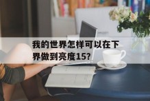 我的世界怎样可以在下界做到亮度15？