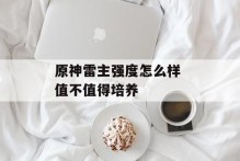 原神雷主强度怎么样 值不值得培养