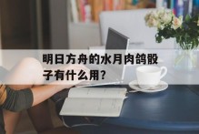 明日方舟的水月肉鸽骰子有什么用？