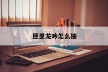 匣里龙吟怎么抽