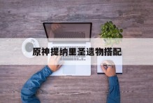 原神提纳里圣遗物搭配