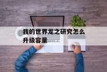 我的世界龙之研究怎么升级容量