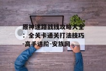 原神迷路战线攻略大全：全关卡通关打法技巧-高手进阶-安族网