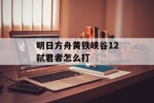 明日方舟黄铁峡谷12弑君者怎么打