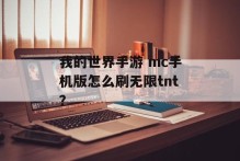 我的世界手游 mc手机版怎么刷无限tnt？