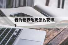 我的世界龟壳怎么获得？