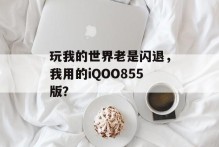 玩我的世界老是闪退，我用的iQOO855版？