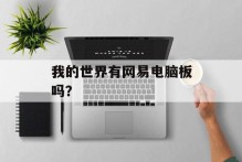 我的世界有网易电脑板吗？