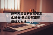 原神天遒谷解密爬塔怎么进去-天遒谷解密爬塔进入方法