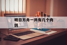 明日方舟一共有几个肉鸽