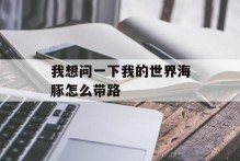 我想问一下我的世界海豚怎么带路
