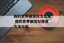 我的世界驯龙杖怎么用 我的世界驯龙杖使用方法介绍