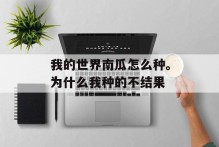 我的世界南瓜怎么种。为什么我种的不结果