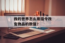 我的世界怎么用指令改变物品的数值？