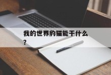 我的世界豹猫能干什么？