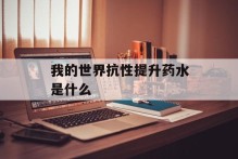 我的世界抗性提升药水是什么