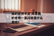 我的世界手游 网易我的世界一直闪退是什么原因？