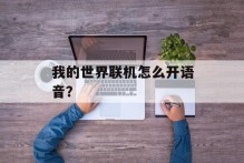 我的世界联机怎么开语音？