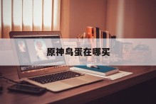 原神鸟蛋在哪买