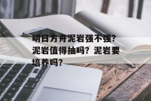 明日方舟泥岩强不强？泥岩值得抽吗？泥岩要培养吗？