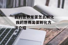 我的世界龙蛋怎么孵化 我的世界龙蛋孵化方法介绍