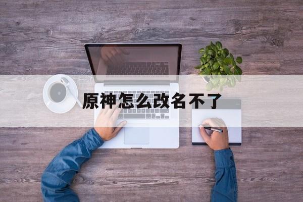 原神怎么改名不了