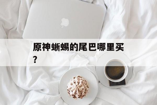 原神蜥蜴的尾巴哪里买？