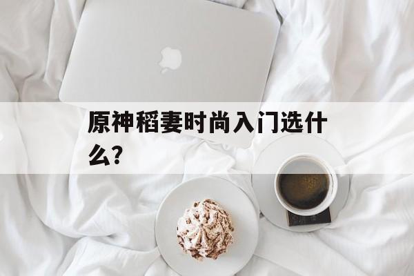 原神稻妻时尚入门选什么？