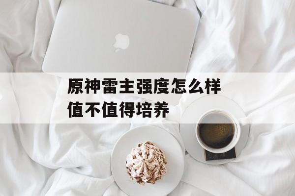原神雷主强度怎么样 值不值得培养