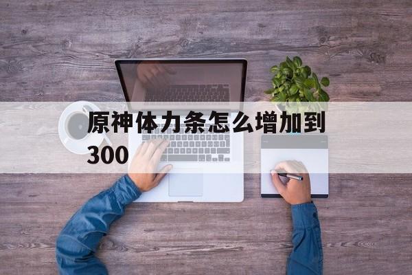 原神体力条怎么增加到300