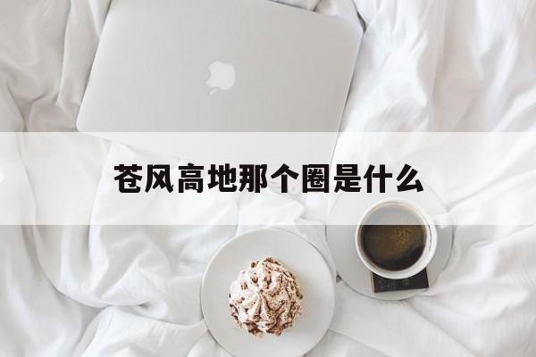 苍风高地那个圈是什么