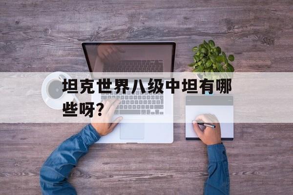 坦克世界八级中坦有哪些呀？