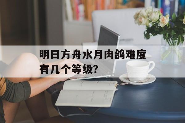 明日方舟水月肉鸽难度有几个等级？