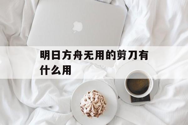 明日方舟无用的剪刀有什么用