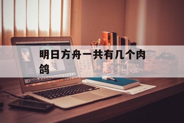 明日方舟一共有几个肉鸽