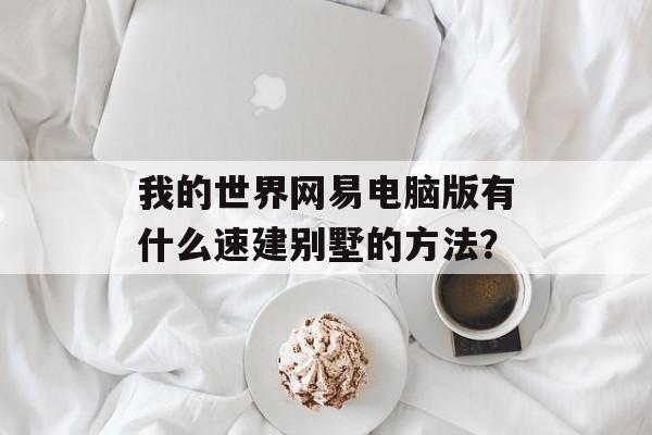我的世界网易电脑版有什么速建别墅的方法？