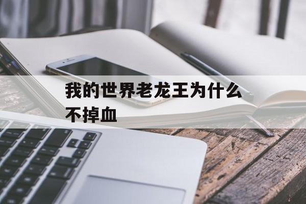 我的世界老龙王为什么不掉血