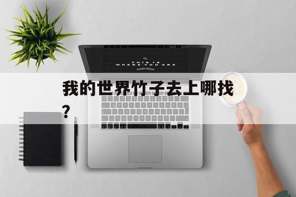 我的世界竹子去上哪找？
